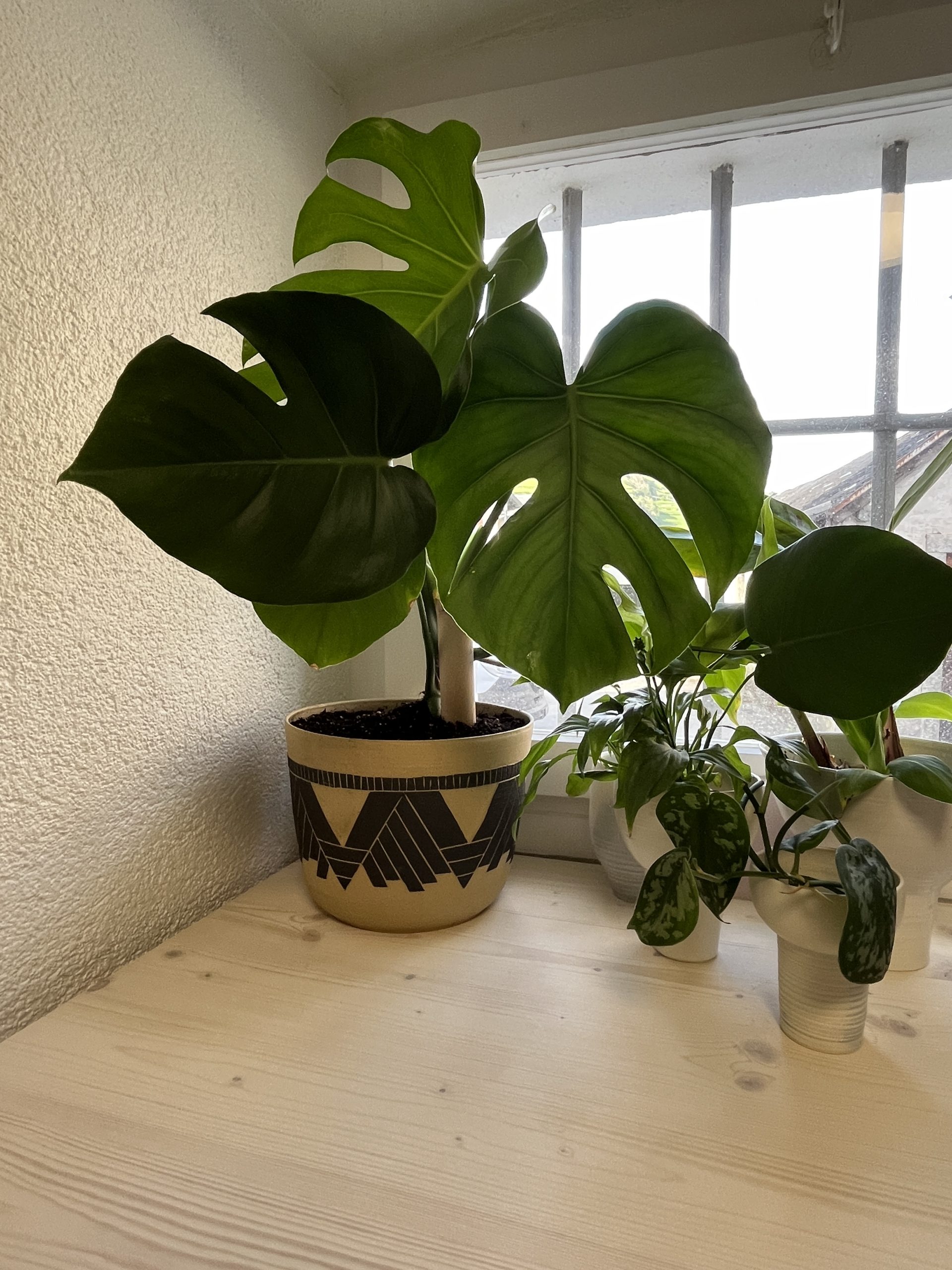 potdefleur_whiteceramic-1-scaled