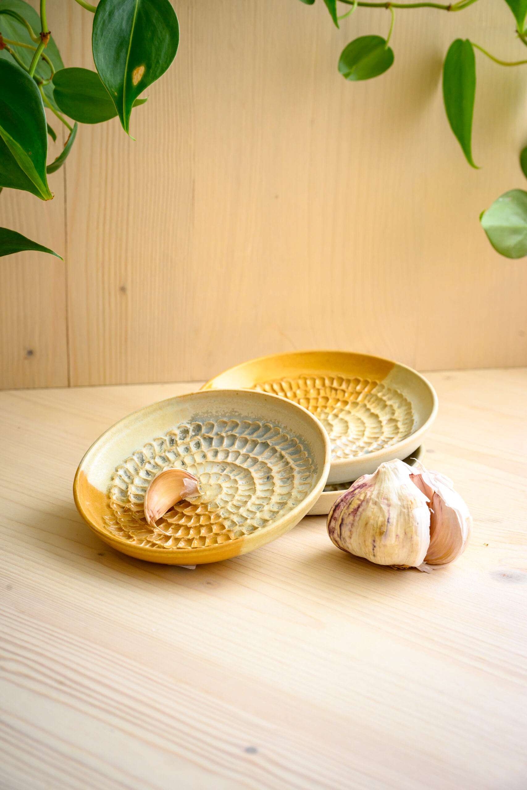 Gratte ail | gingembre – Image 6