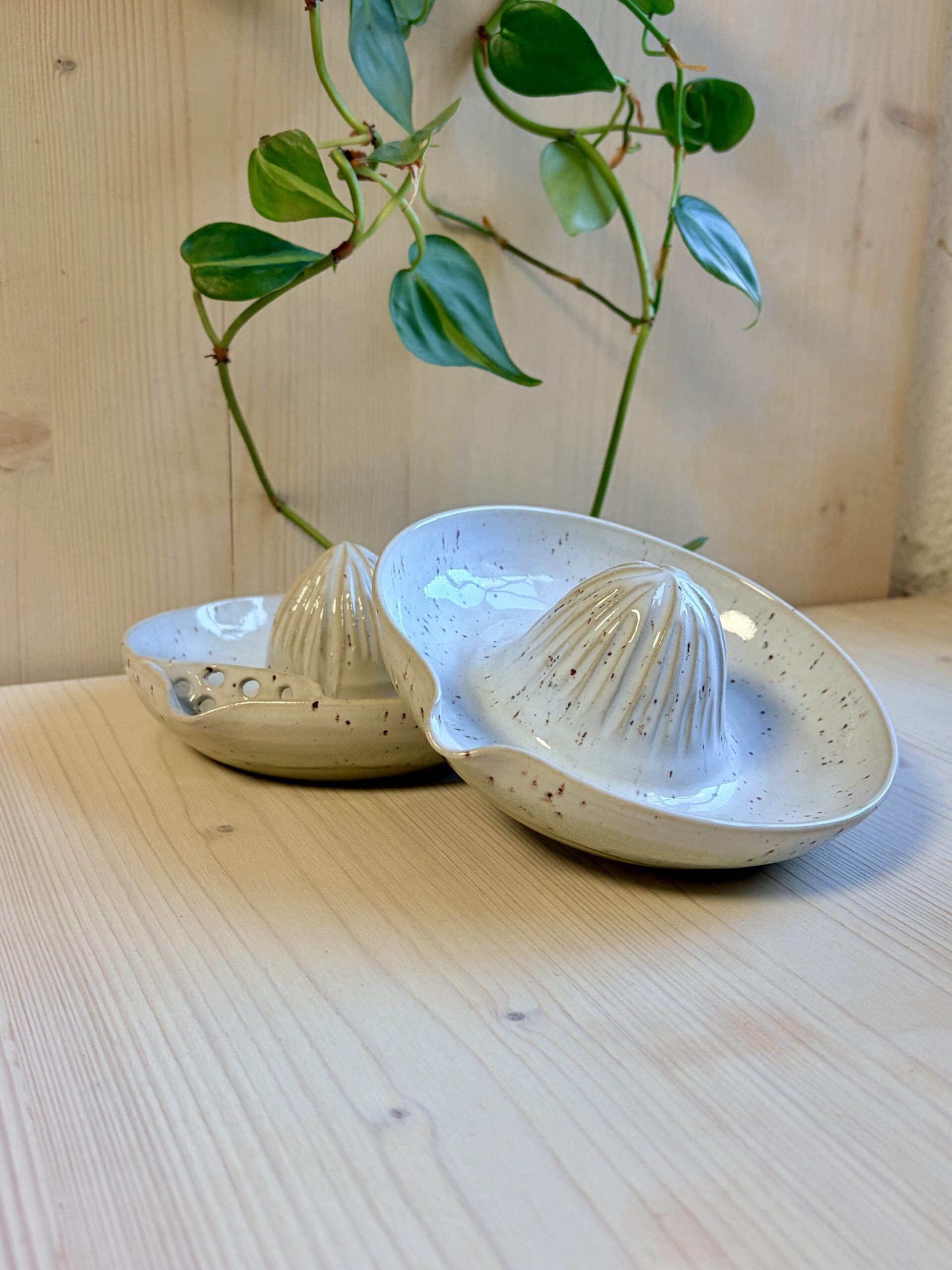 Presse citron – Image 4